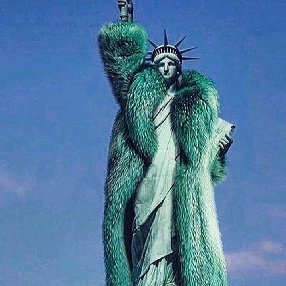 Meet your Posher, Haley.